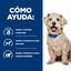 24 latas x 370 g Hill's Prescription Diet Digestion Weight w/d Pollo lata para perros &iexcl;Pack ahorro!, , large indicador imagen numero 4